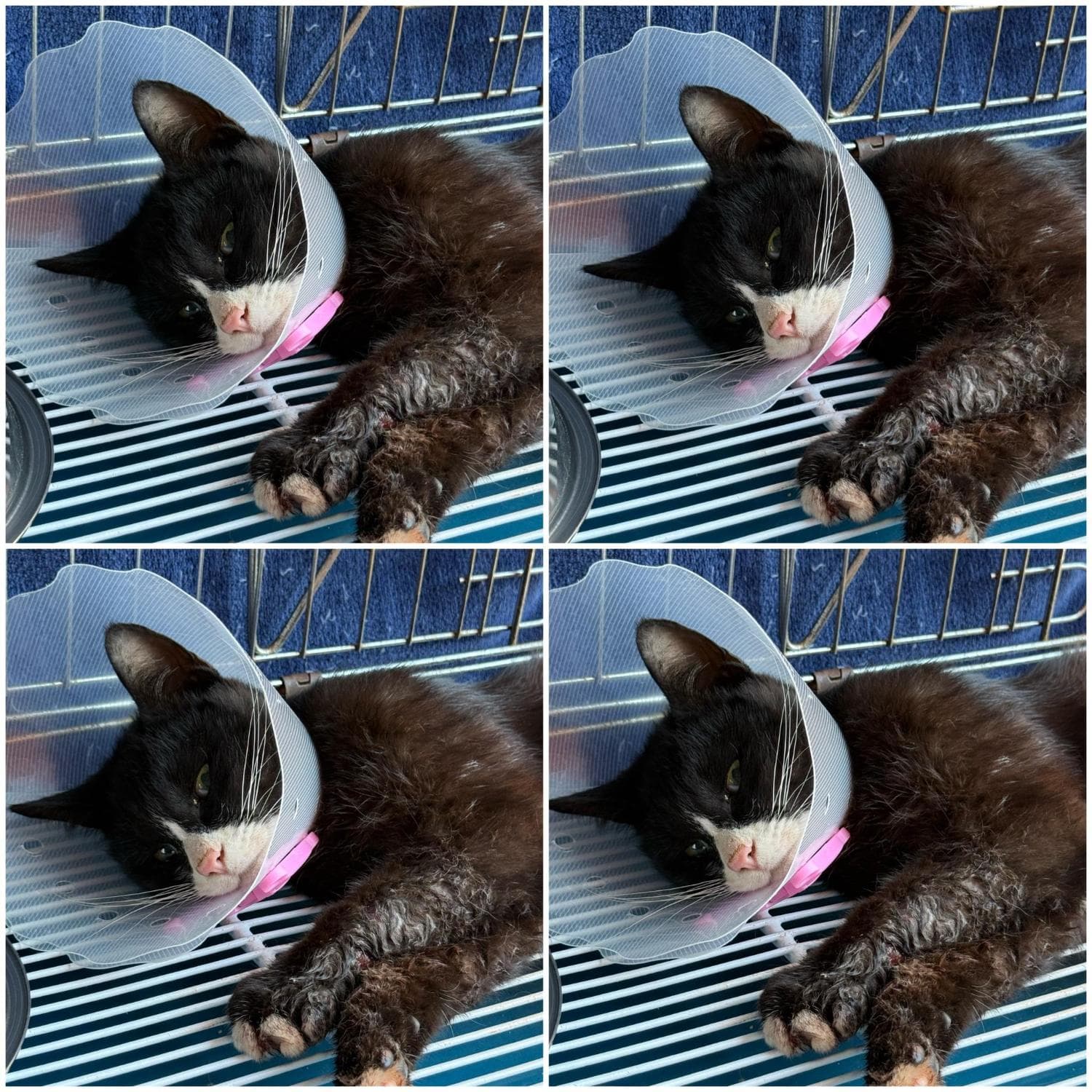 이름 미상