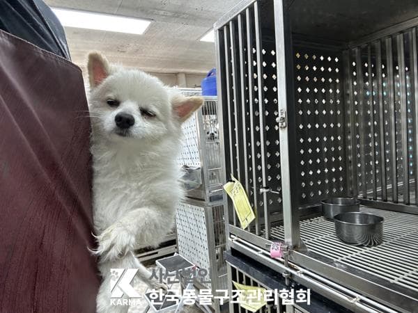 이름 미상