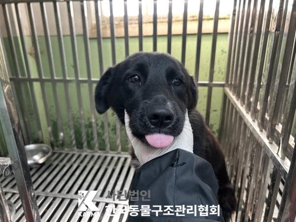 이름 미상