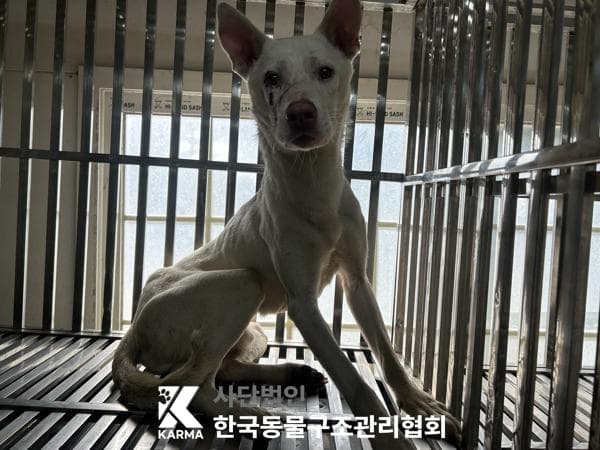 이름 미상