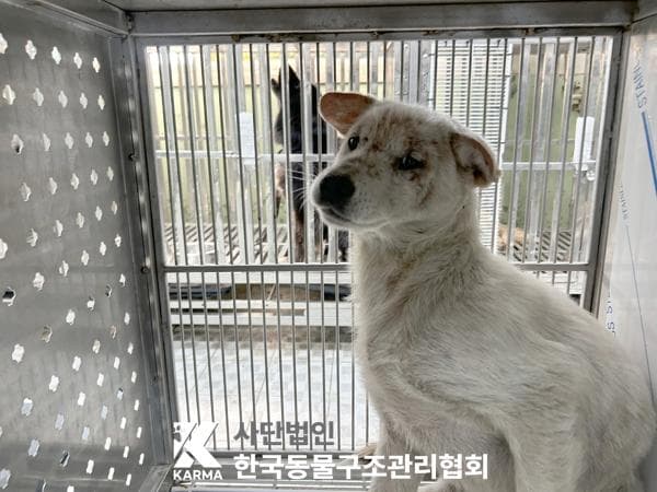 이름 미상