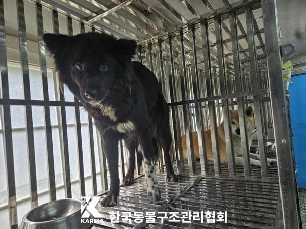 이름 미상