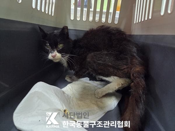 이름 미상