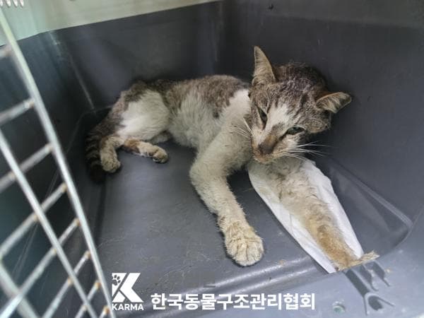 이름 미상