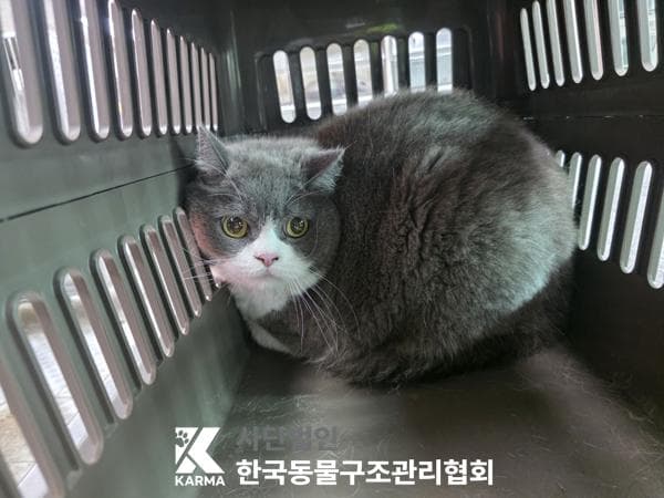 이름 미상