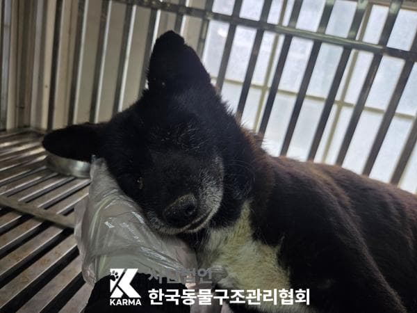 이름 미상
