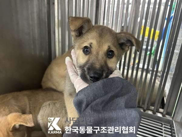 이름 미상