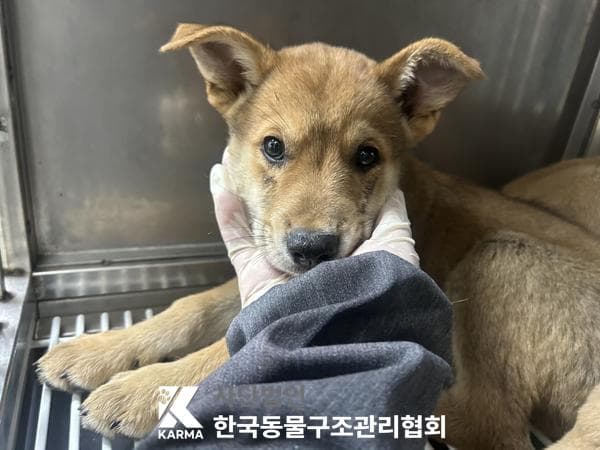 이름 미상