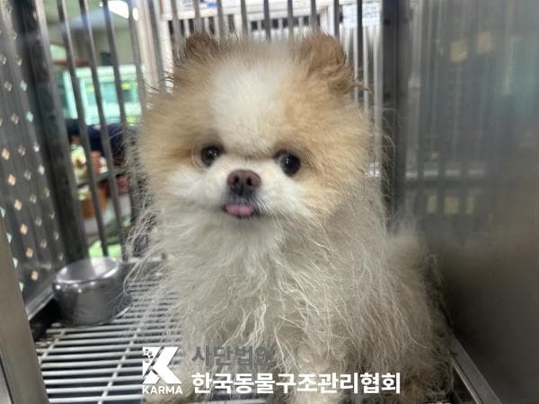 이름 미상