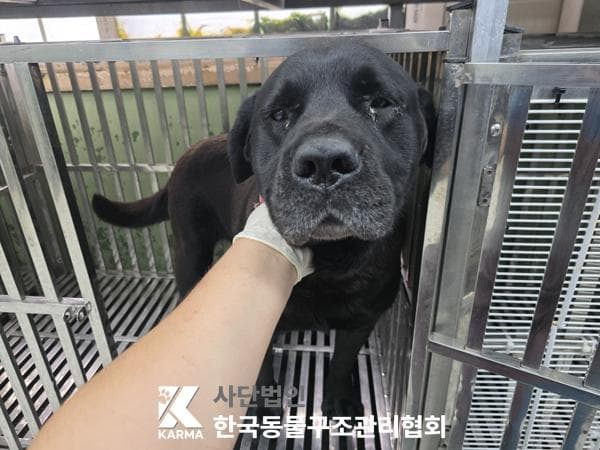 이름 미상