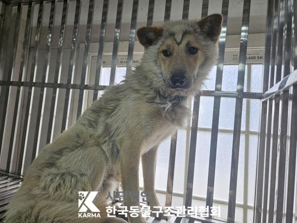 이름 미상