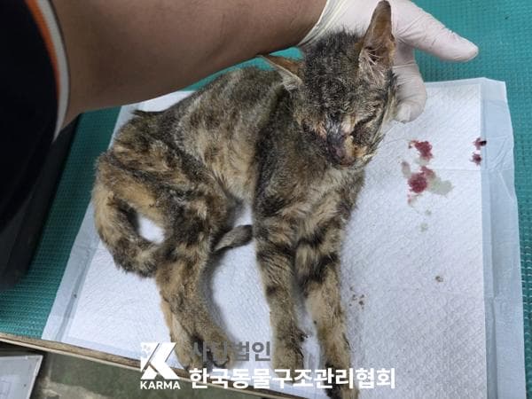 이름 미상