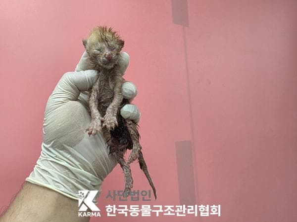 이름 미상