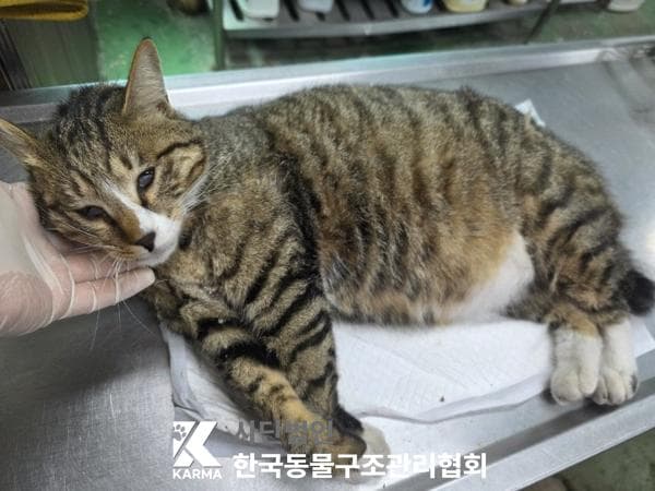 이름 미상