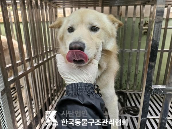 이름 미상