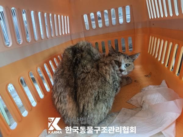 이름 미상