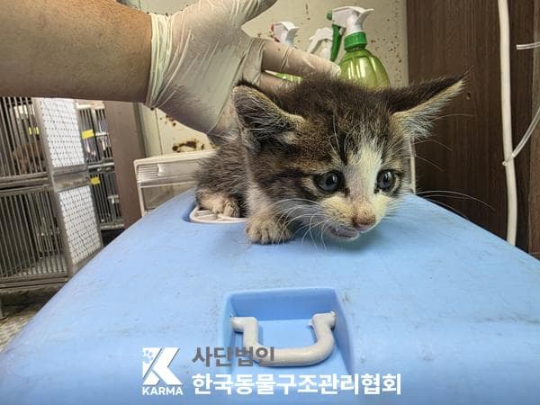 이름 미상