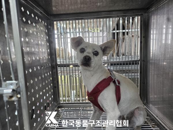 이름 미상