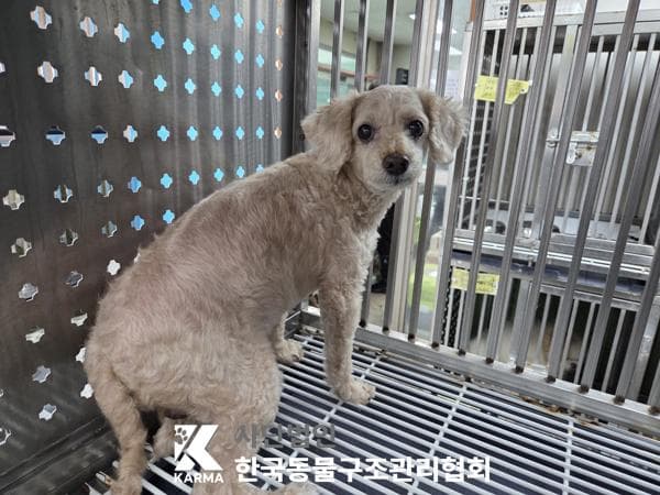 이름 미상