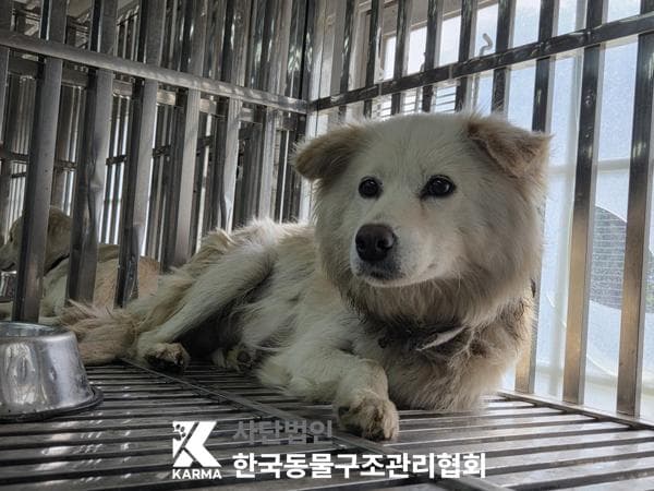 이름 미상