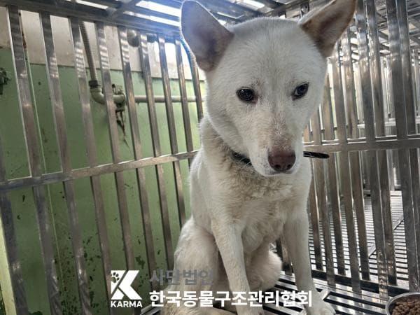 이름 미상