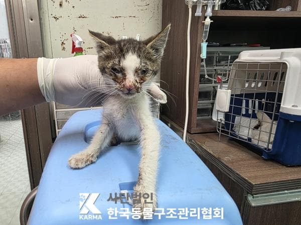 이름 미상